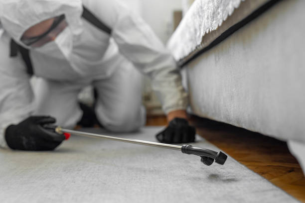 Professional Wasp Control technician working in Merritt Park, NY