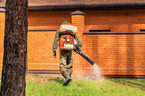 Trusted Fumigation Services service in Merritt Park, NY - Nex Pest Control